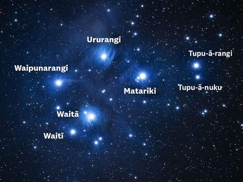 Matariki Stars Seven Sisters Maori New Year
