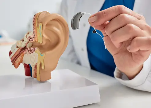 Hearing Aid